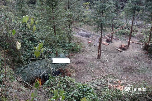 一场摸索于山野、流量与规则之间的“荒野求生”