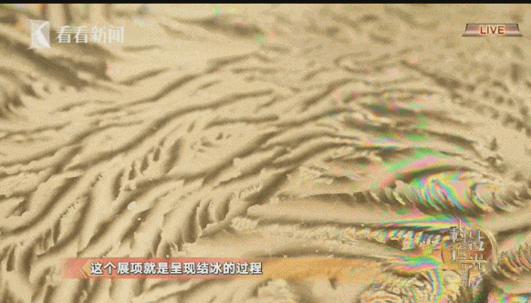 阔别两年，首发回归彩蛋！上海著名“地标”重启加速键！多个全新展区抢先亮相