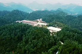 国家级核心育种场标准！清镇再添一座种猪选育场图片