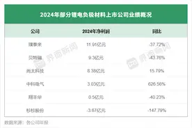 负极材料龙头业绩分化，有的陷入上市首亏、有的净利猛增6倍图片
