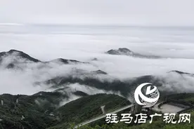 【大美天中】驻马店老乐山：云海翻涌映翠峰 引客醉游于云端图片