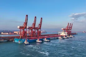 坚定信心 勇挑大梁·改革新成效｜从整合向融合，河北港口持续释放改革效能图片