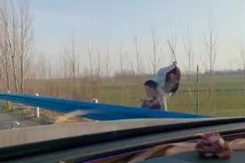 根本忍不到服务区！年轻妈妈高速靠边停车教育小孩，当事人回应：他吵着要跳车图片