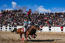 追光丨“马”上过年，藏历新年“氛围组”上线！图片