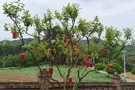 息烽：垃圾分出“新智慧” 引领文明“新时尚”图片