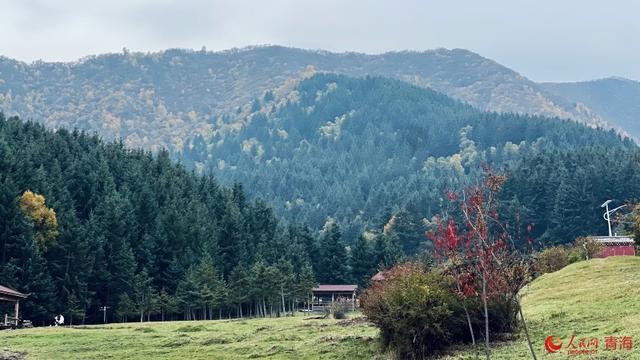 卡阳秋色映高原 田园云雾入画来