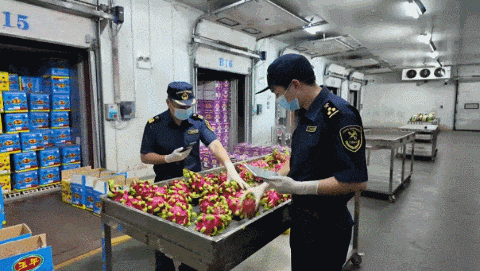 人民网聚焦广西：接！泼天的富“桂”