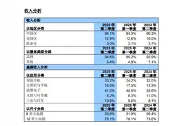 中芯国际二季度业绩说明会要点  模拟芯片加速占领市场份额，增量订单来自哪里？图片