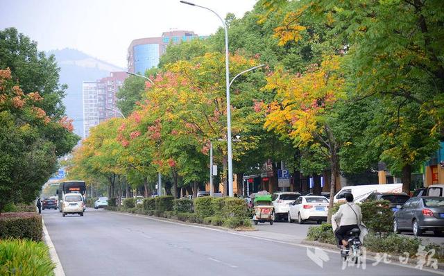 行走京山丨霞光薄雾映照斑斓城景