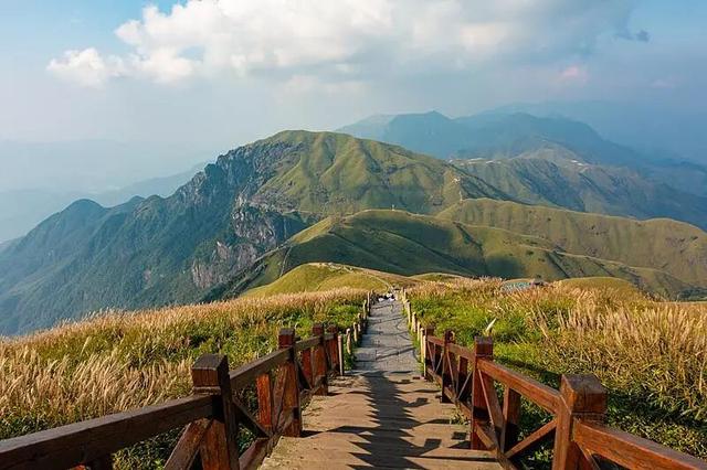 免费、半价！东阳人赶紧安排，一大波优惠福利来了→