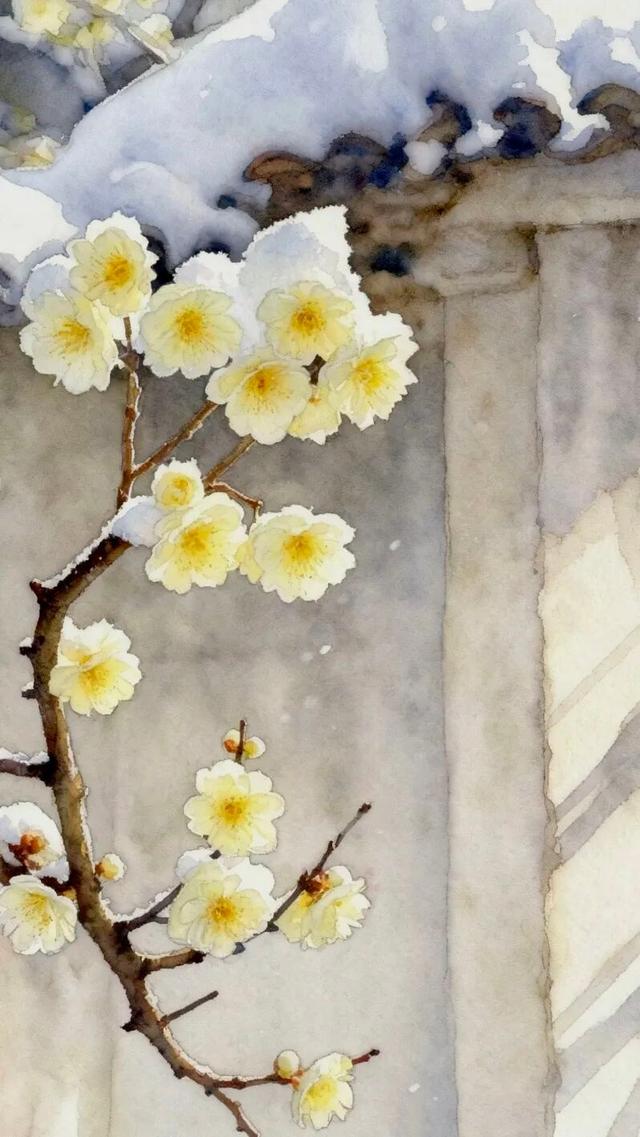 【丽江分享】大雪：人间至此雪盛时 岁暮天寒问冬安