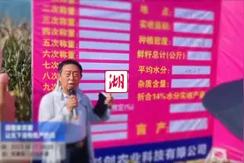 亩产1050公斤！湖北春玉米产量刷新纪录图片