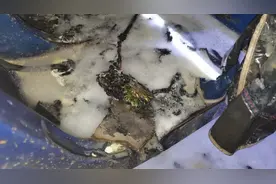 惠州一月内发生3起电动自行车火灾，涉及这个品牌！图片