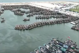 金秋“第一网”！黄渤海开渔 数千艘渔船竞相出海图片