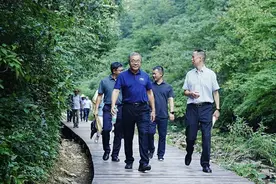 大巴山沉浸式森林康养步道如何建设？来看重庆这场调度会图片
