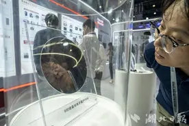 美国加州“隐形冠军”牵手湖北头部企业图片