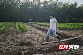 “00后”大学生：我的暑期实践在防汛大堤上图片