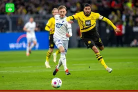 剑南春｜霍芬海姆3-2逆转多特蒙德，比博闪击，拜尔梅开二度图片