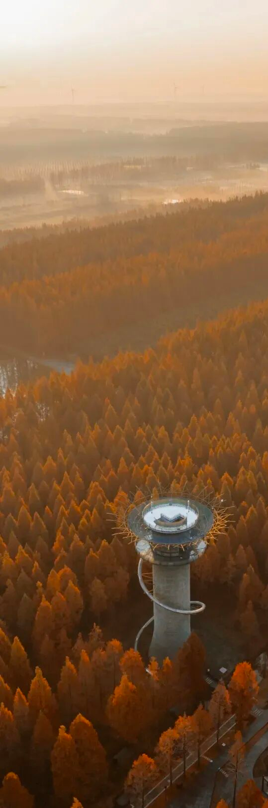 辞家千里又千里，盐城想你很想你