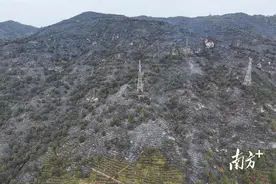 多图｜山土焦黑，清远山火善后工作有序进行中图片