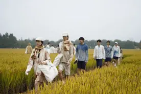 惊艳！快来围观松江这场稻田里的时装秀图片