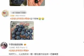 重要提醒：这种水果吃之前别忘了“掏耳朵”？！图片