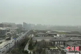 陕西发布沙尘暴黄色预警 部分地区森林草原火险气象等级较高图片