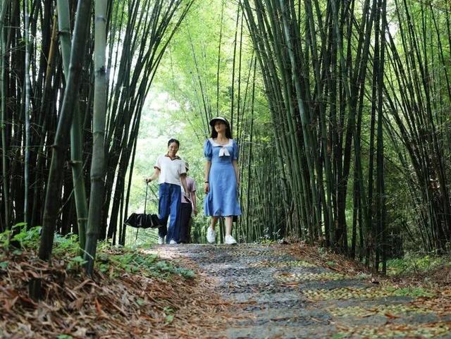 双节逃离计划：去金桔老家赴一场甜蜜之约，附超详细打卡路线