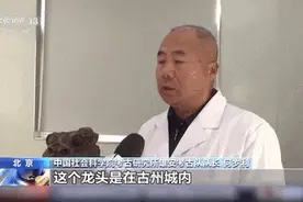 黑眼珠、绿眼线，罕见唐代龙首正在修复中，是何来历图片