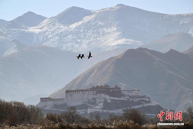 西藏：初冬“拉萨之肺”绘壮美画卷