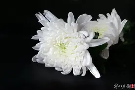 北大教授巫和懋病逝，在美获终身教职后毅然回台湾和大陆任教图片