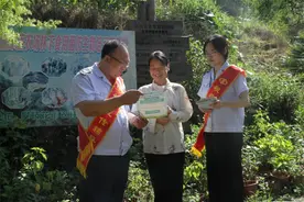攀枝花：持续优化税费服务举措 助力松露产业健康发展图片
