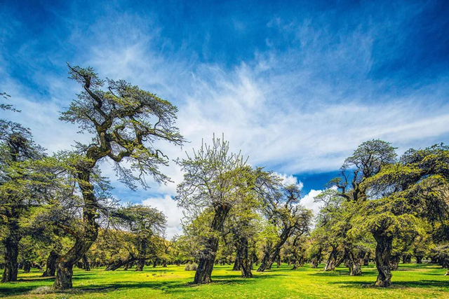 科考旅行｜秘境山南生态考察报名