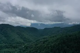 解码哀牢山｜哀牢山：一座“野”山图片