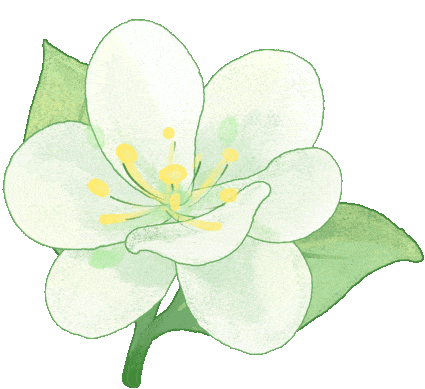 来云水涧，解锁度假“慢时光”