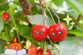 水果挑选秘籍：让你一不小心就挑到了“心头爱”图片