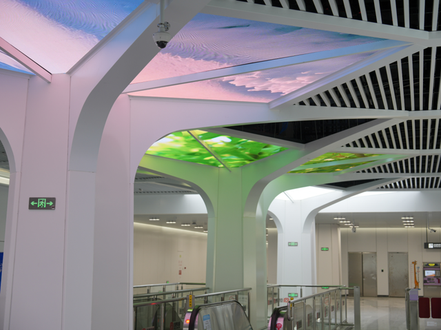 早安，长宁丨黄金城道“杏”定美景来啦～