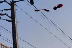 被罚1000元！春节期间这件事千万不能干！图片