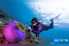 中高考准考证或毕业证可当门票！海南29个景区对全国中高考学子们免费开放图片