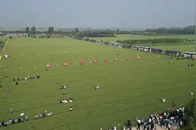 田间地头“筛”品种，小麦新品种百农1316观摩会在许昌举办图片