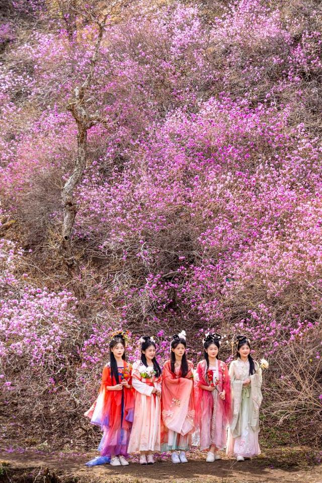 春假邂逅清明花事 山东文旅景区邀你共赴“花式”春日盛宴