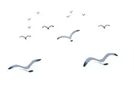 “新银滩人”带来“新银滩味”~~图片