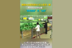 每颗37元，白菜变“金菜”，涨价的风还是吹到了韩国图片