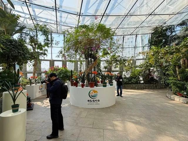 国家植物园的春花排期来了——