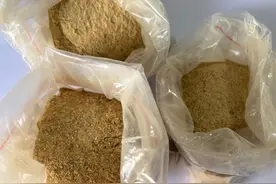 打成粉也认得你图片