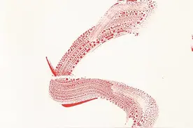 赤蛇之蕴：生肖文化的新表达图片