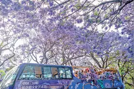 212项活动为你准备！“五一”来昆明就对了图片