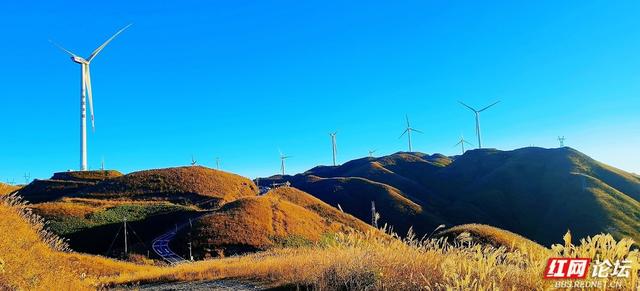 【每日一图@湖南】月夜风车与霞光云海同框？初冬的桂东万洋山做到了