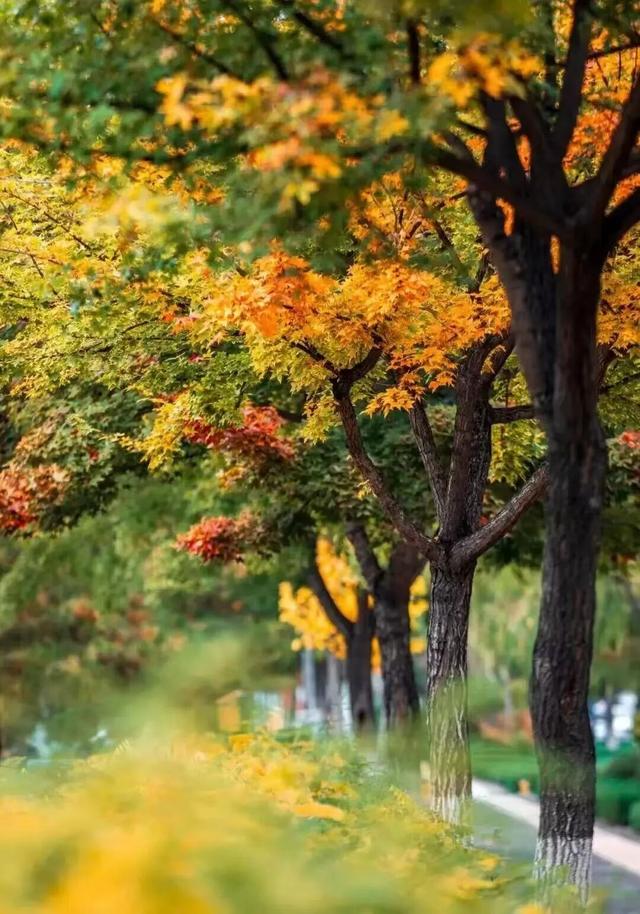 解锁冬日松弛法则，慢品时光里的烟火！