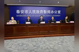 “留住乡愁记忆” 泰城古树后备资源的精细化保护之路图片
